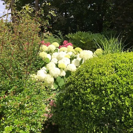 Joussaume Latour 住宿加早餐酒店 蒂耶里堡